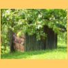 embach2006_088.jpg