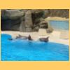 gardaland2006_014.jpg
