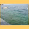 gardasee2006_008.jpg