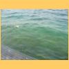 gardasee2006_010.jpg