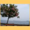 gardasee2006_014.jpg