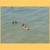 gardasee2006_027.jpg