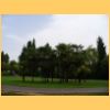 sigurta2006_009.jpg