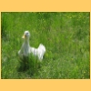 radfeld_Manu_2008_16.jpg