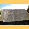 radfeld_Manu_2008_23.jpg